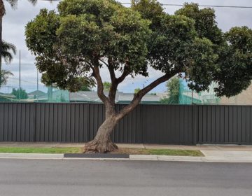 Sheet Fence-Adelaide Fence Centre-West Beach-1